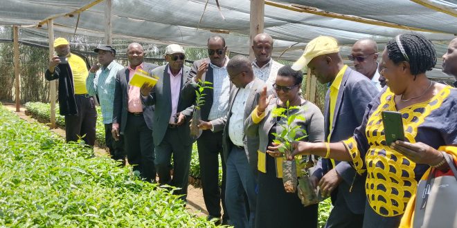 OWC Distributes Coffee Seedlings in Rukiga