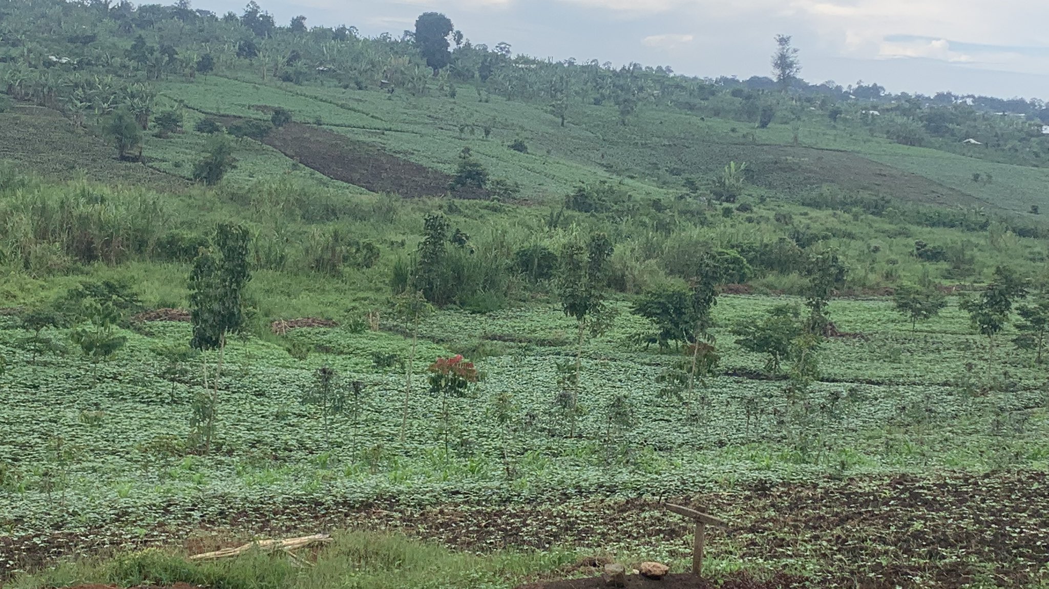 Kikuube District Council Approves Land Allocation for New Seed Secondary Schools