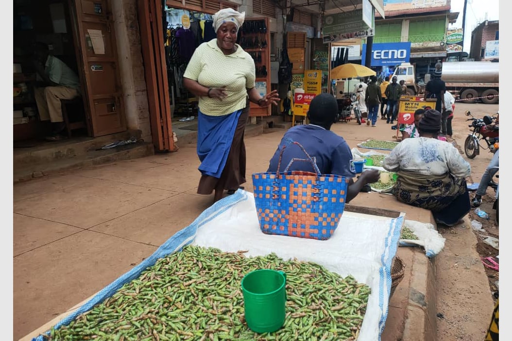 Nsenene Land in Masaka