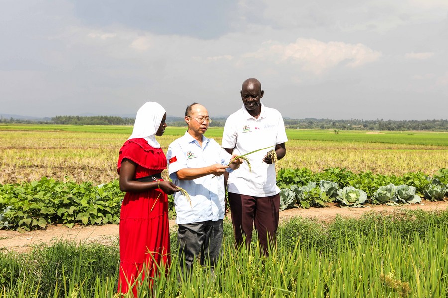 Ugandan symposium explores China’s Global Civilization Initiative