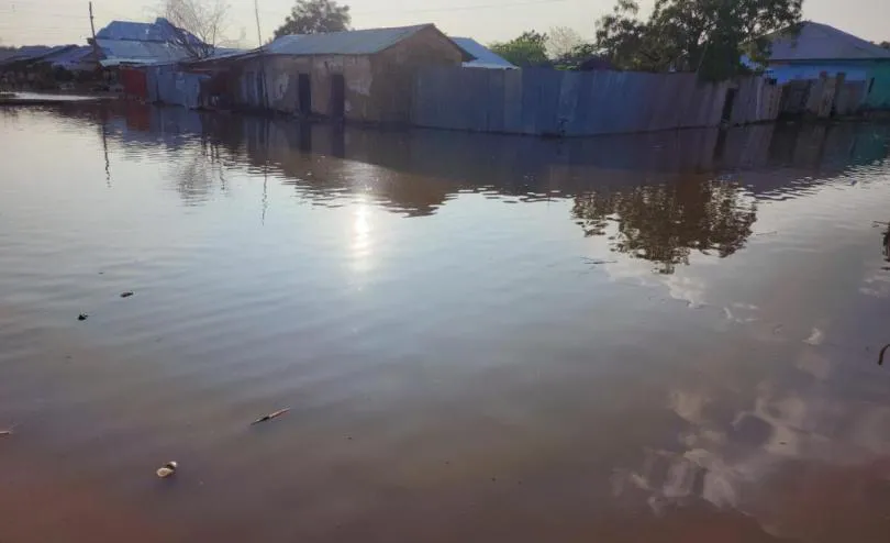 Ethiopia: At Least 23 Killed as a New Cholera Outbreak Poses Deadly Threat to Thousands of Displaced Children