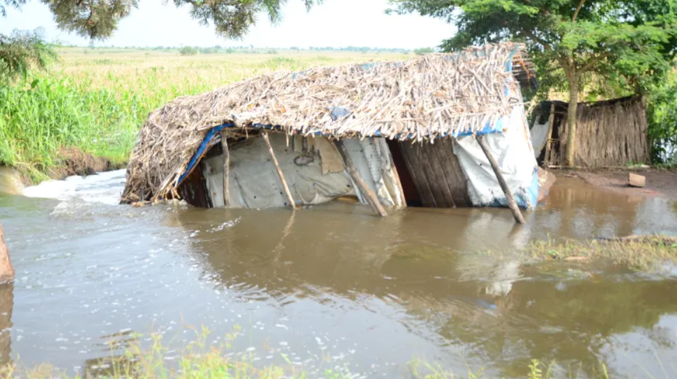 Masindi wetland encroachers ordered to vacate in 3 days