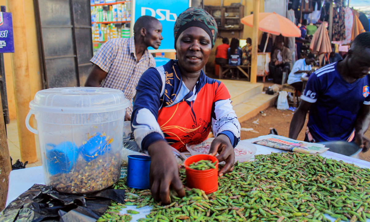 ‘Certify or cease business,’ warns UNBS to Nsenene dealers