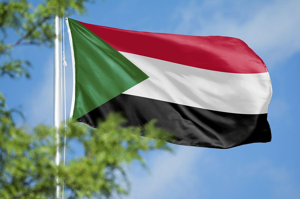 Over 3,000 Humanitarian Organizations Cease Operations in Sudan