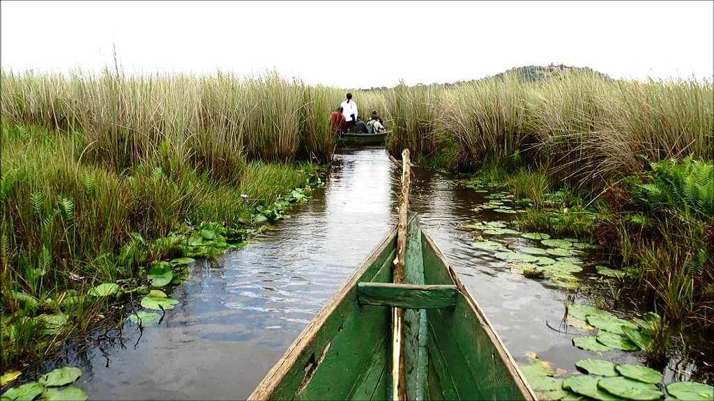 What the World Wetland Day celebrations would focus on in Uganda