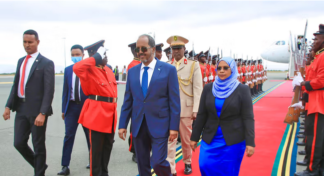 Tanzania Pledges Support for Somalia’s Defense and Trade