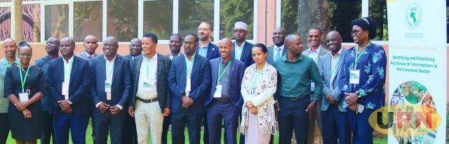 Experts convene in Uganda to tackle food insecurity in IGAD Region