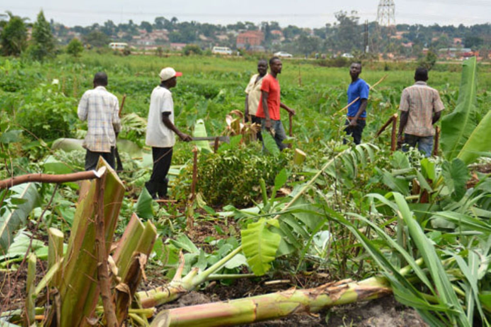 NEMA on the spot over Selective Evictions in Lubigi Swamp