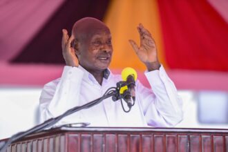 No Bail for the Corrupt, Says Museveni