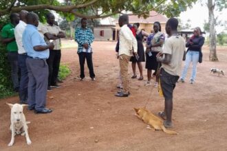 Shortage of rabies vaccines hits Eastern Uganda