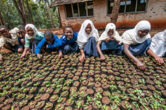 Women Leading Climate Solutions in Uganda